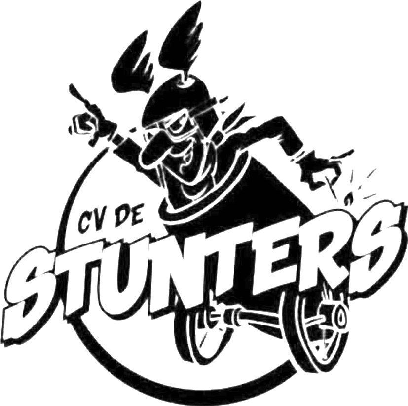 cv de stunters